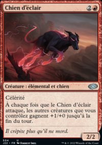 Chien d'clair - 