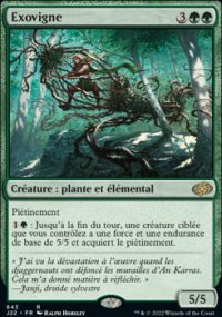 Exovigne - 