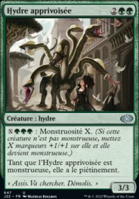 Hydre apprivoise - 