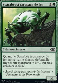 Scarabe  carapace de fer - 