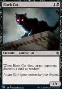 Chat noir - 