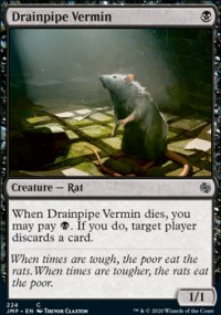 Drainpipe Vermin - 