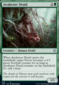 Awakener Druid - 