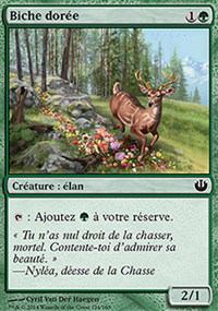 Biche dore - 