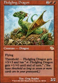 Dragon juvnile - 