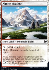 Alpine Meadow - 