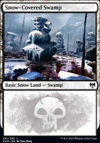 Snow-Covered Swamp - 