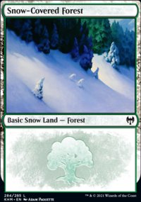 Snow-Covered Forest - 