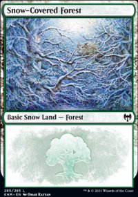 Snow-Covered Forest - 