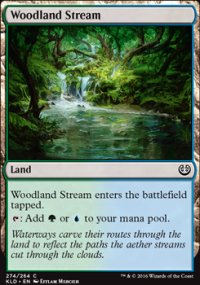 Woodland Stream - 