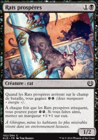 Rats prospres - 