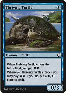 Thriving Turtle - 