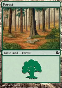 Forest - 