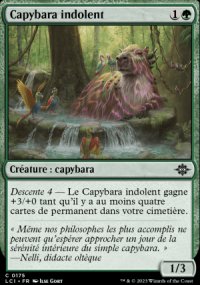 Capybara indolent - 