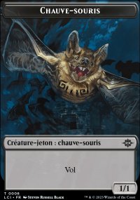 Chauve-souris - 