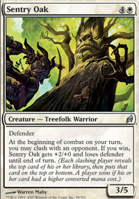 Sentry Oak - 