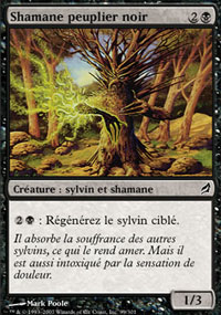 Shamane peuplier noir - 