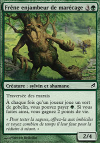 Frne enjambeur de marcage - 