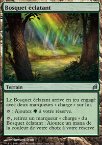 Bosquet clatant - 