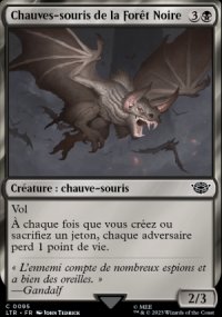 Chauves-souris de la Fort Noire - 