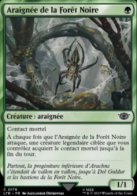 Araigne de la Fort Noire - 