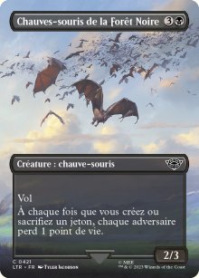 Chauves-souris de la Fort Noire - 