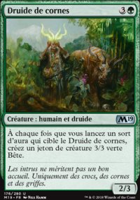 Druide de cornes - 