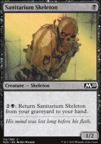 Sanitarium Skeleton - 