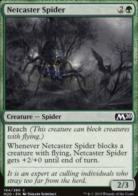 Netcaster Spider - 