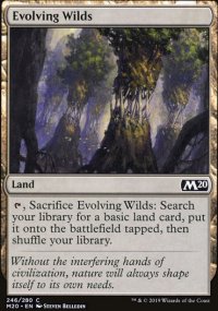 Evolving Wilds - Core Set 2020