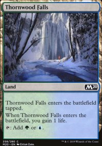 Thornwood Falls - 