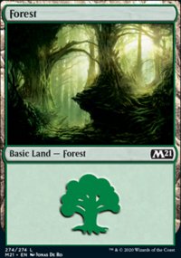 Forest - 