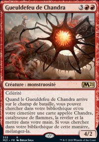 Gueuldefeu de Chandra - 