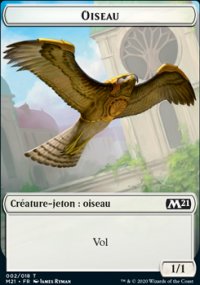 Oiseau - 