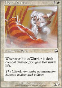 Pious Warrior - 