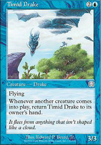 Timid Drake - 