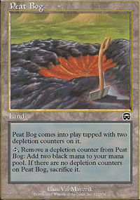 Peat Bog - 