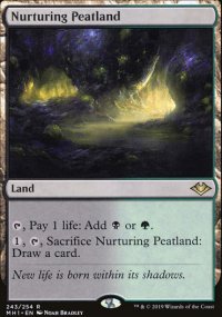 Nurturing Peatland - Modern Horizons