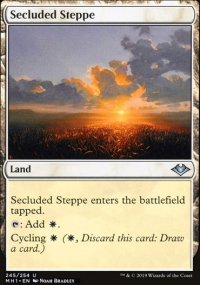 Secluded Steppe - Modern Horizons