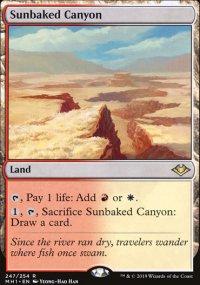 Sunbaked Canyon - Modern Horizons