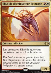 Slivode dchiqueteur de nuage - 