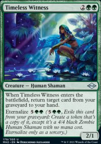 Timeless Witness - Modern Horizons II