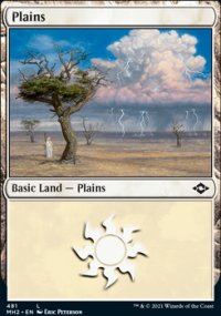 Plains - Modern Horizons II