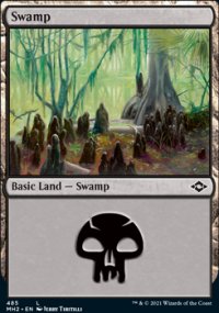 Swamp - 