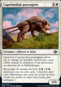 Caprinodon paysagiste - Modern Horizons II