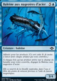 Baleine aux nageoires d'acier - 