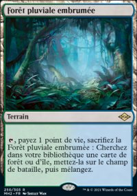 Fort pluviale embrume - Modern Horizons II