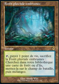 Fort pluviale embrume - Modern Horizons II