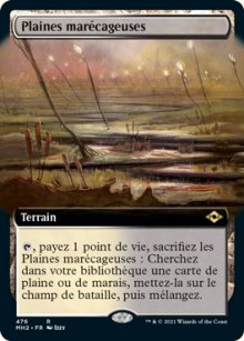 Plaines marcageuses - Modern Horizons II