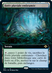 Fort pluviale embrume - Modern Horizons II